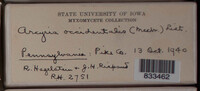 Image Associated With the Occurence